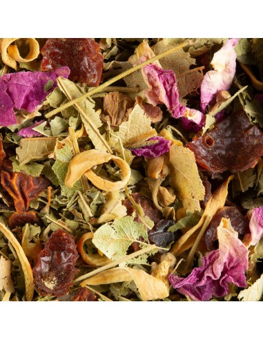 Tisane Dammann Nuit à Versailles in...