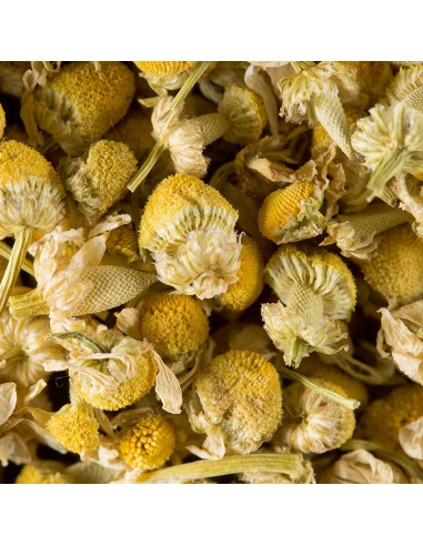 Tisane Dammann Camomille in Sachet...