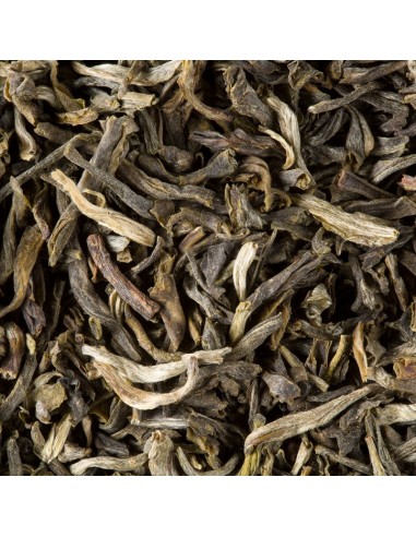 Tè sfuso Dammann Yunnan Vert in...