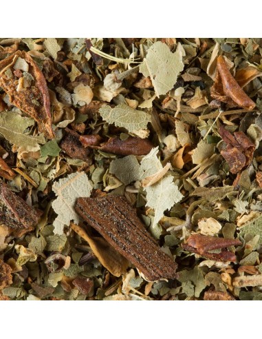 Tisane sfuso Dammann Berger in...