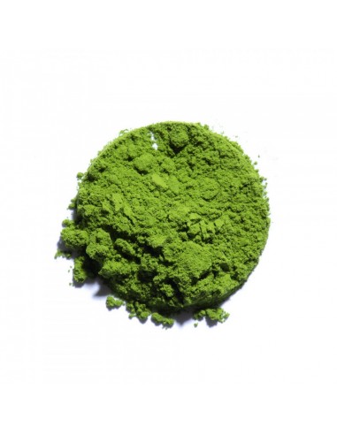 Matcha Tradition Dammann Frères - 15...