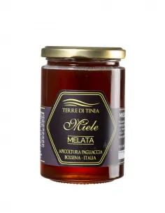 Miele di melata di bosco Terre di Tinia vasetto 500 g Terre di Tinia - 1