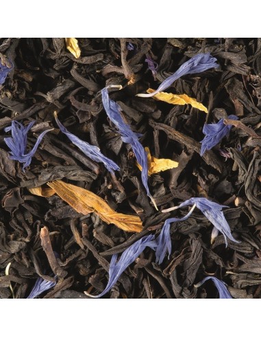 Tè nero sfuso Dammann Frères Jardin...