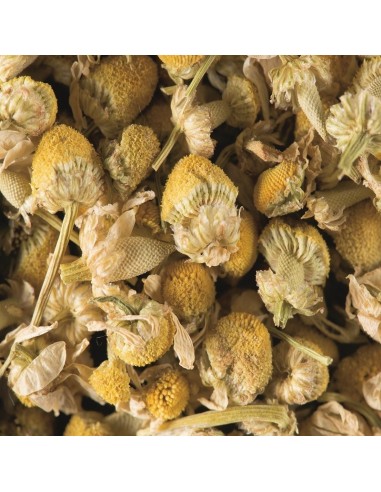 Tisane Camomille in Sachet Cristal -...