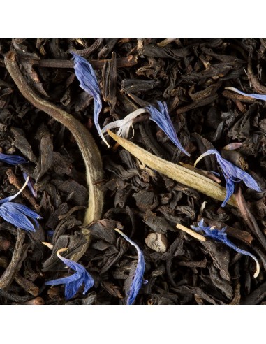 Tè Dammann Earl Grey in Sachet...