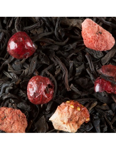 Tè Dammann 4 Fruits Rouges in Sachet...