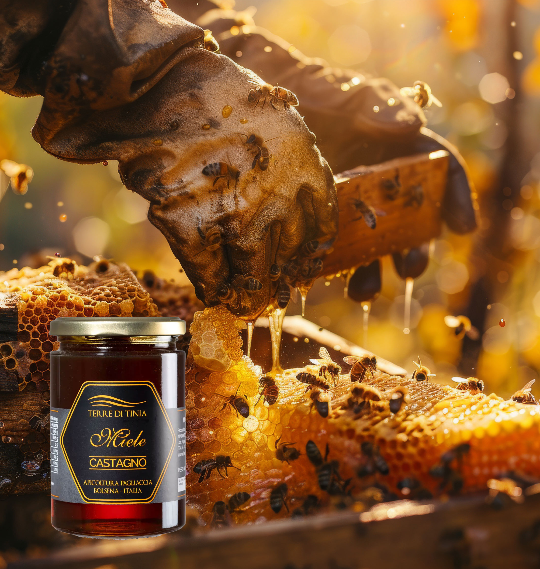 Tavolette cioccolata venchi