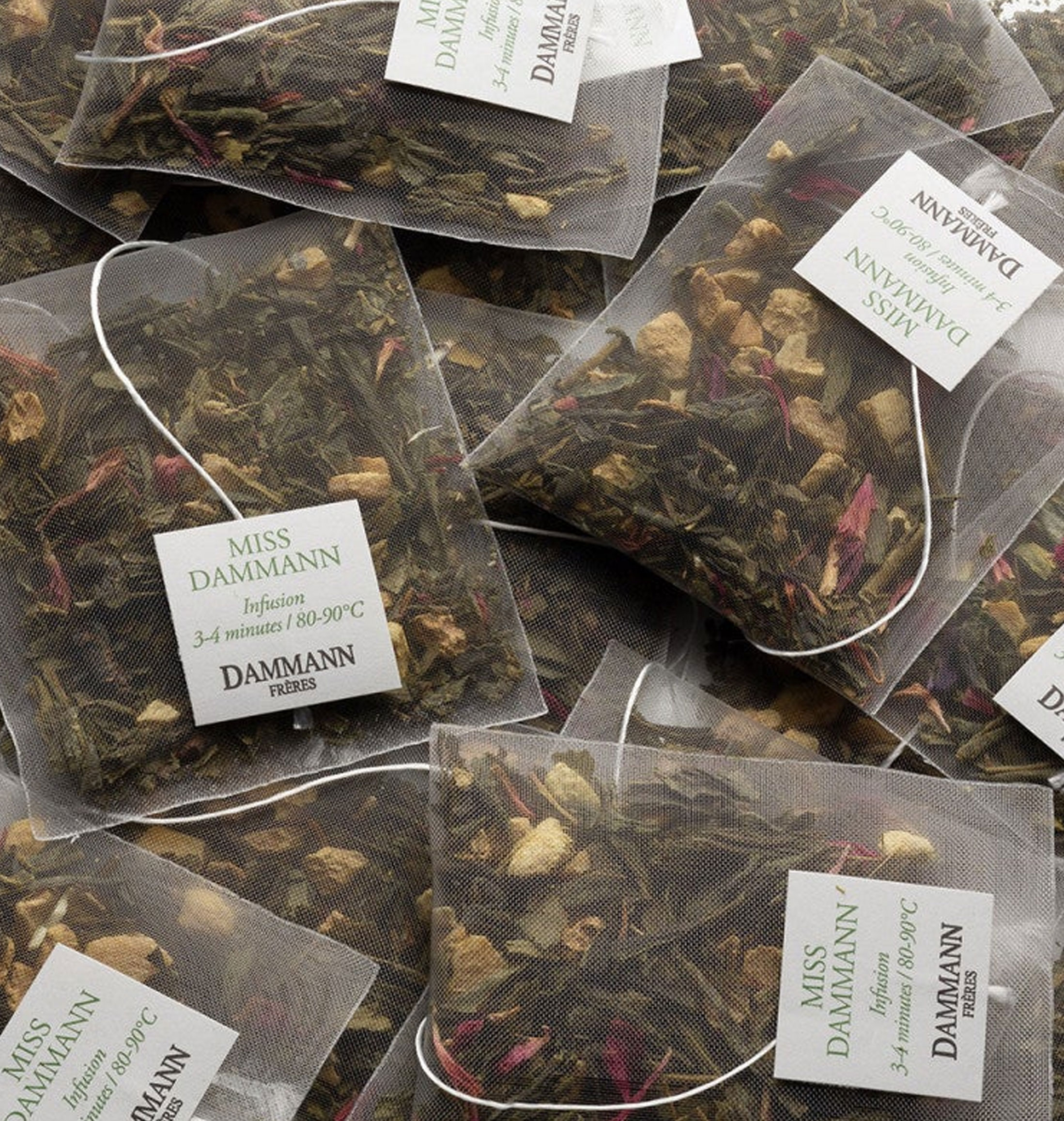 Tavolette cioccolata venchi